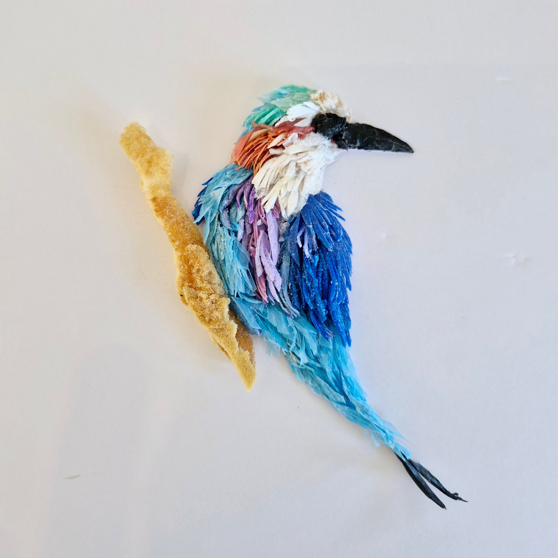 Framed Wall Art made from upcycled ocean plastic pollution by Janet Ormond Lilac Breasted Roller