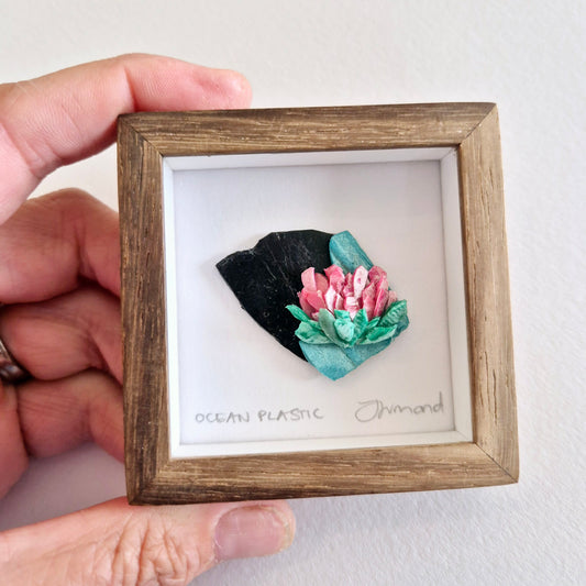 Ocean Fragment No.013 - Protea - Framed Wall Art