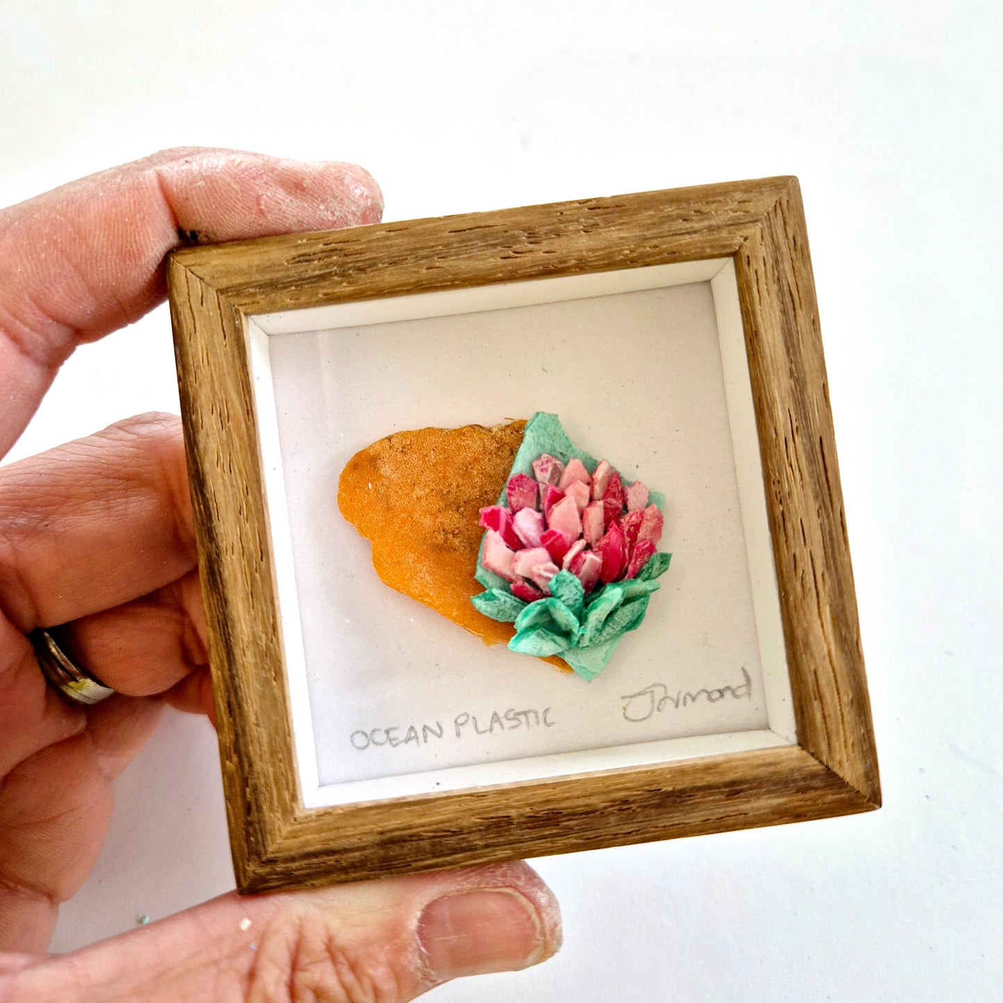 Ocean Fragment No.012 - Protea