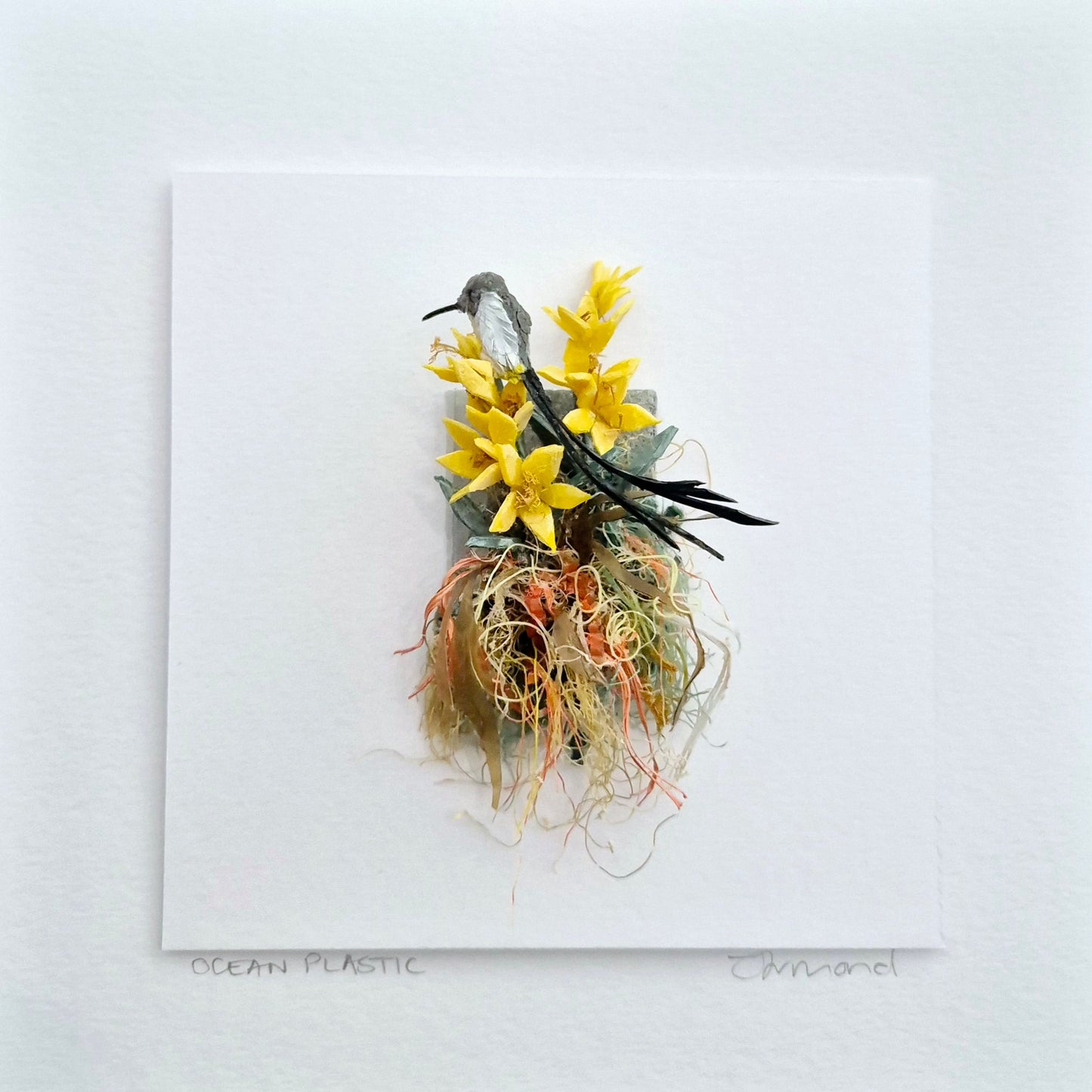Sugarbird in yellow - Framed Wall Art