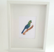 Load image into Gallery viewer, Knysna Loerie
