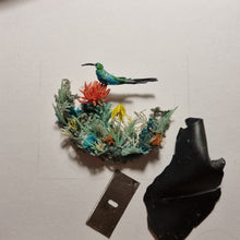 Load image into Gallery viewer, Malachite Sunbird perched on a pincushion

