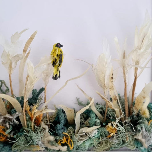 Southern Masked Weaver