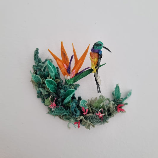 Orange-breasted sunbird