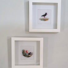 Load image into Gallery viewer, oyster catcher beach plastic art
