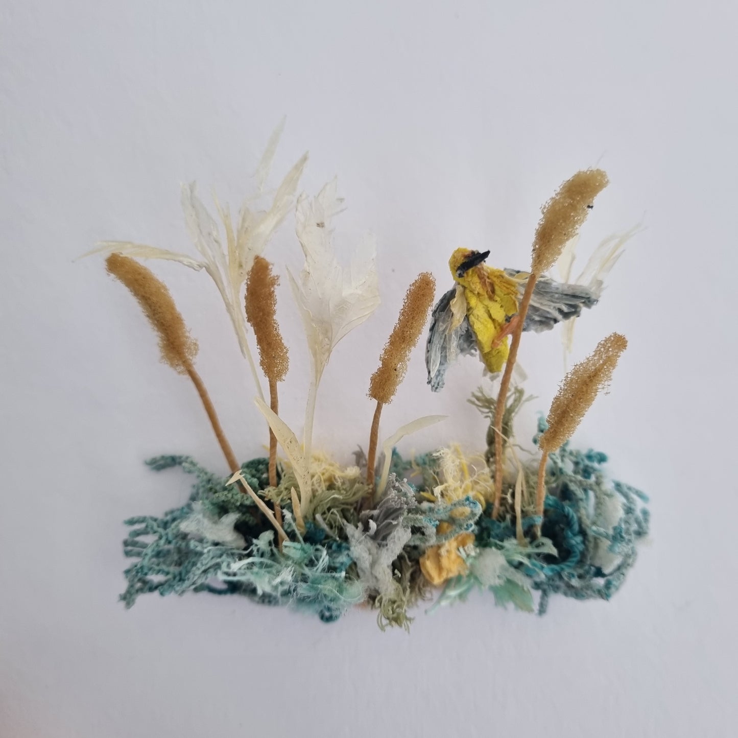Weaver fluttering between the reeds