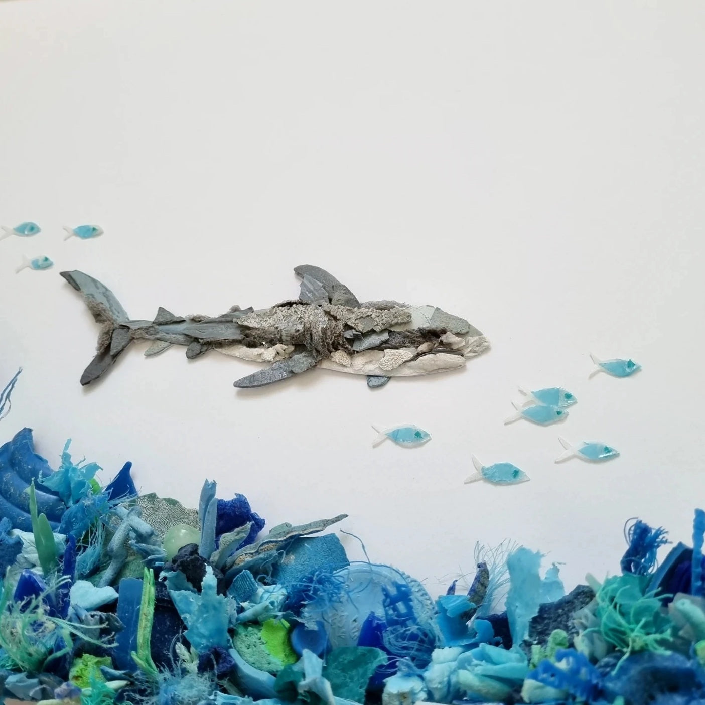 Shark swimming the drop off