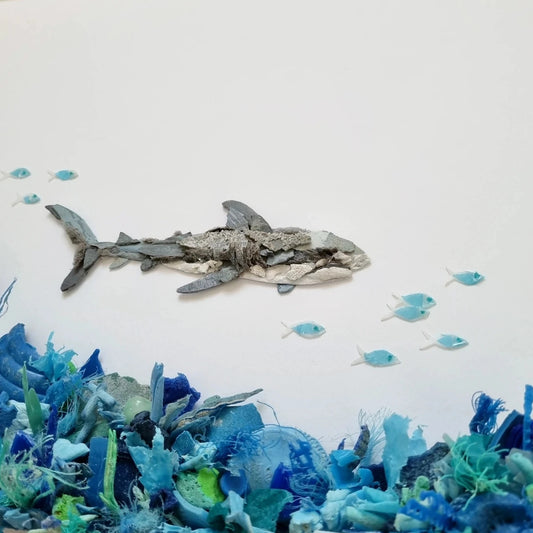 Shark swimming the drop off