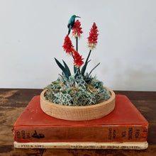 Load image into Gallery viewer, Malachite amongst Aloes
